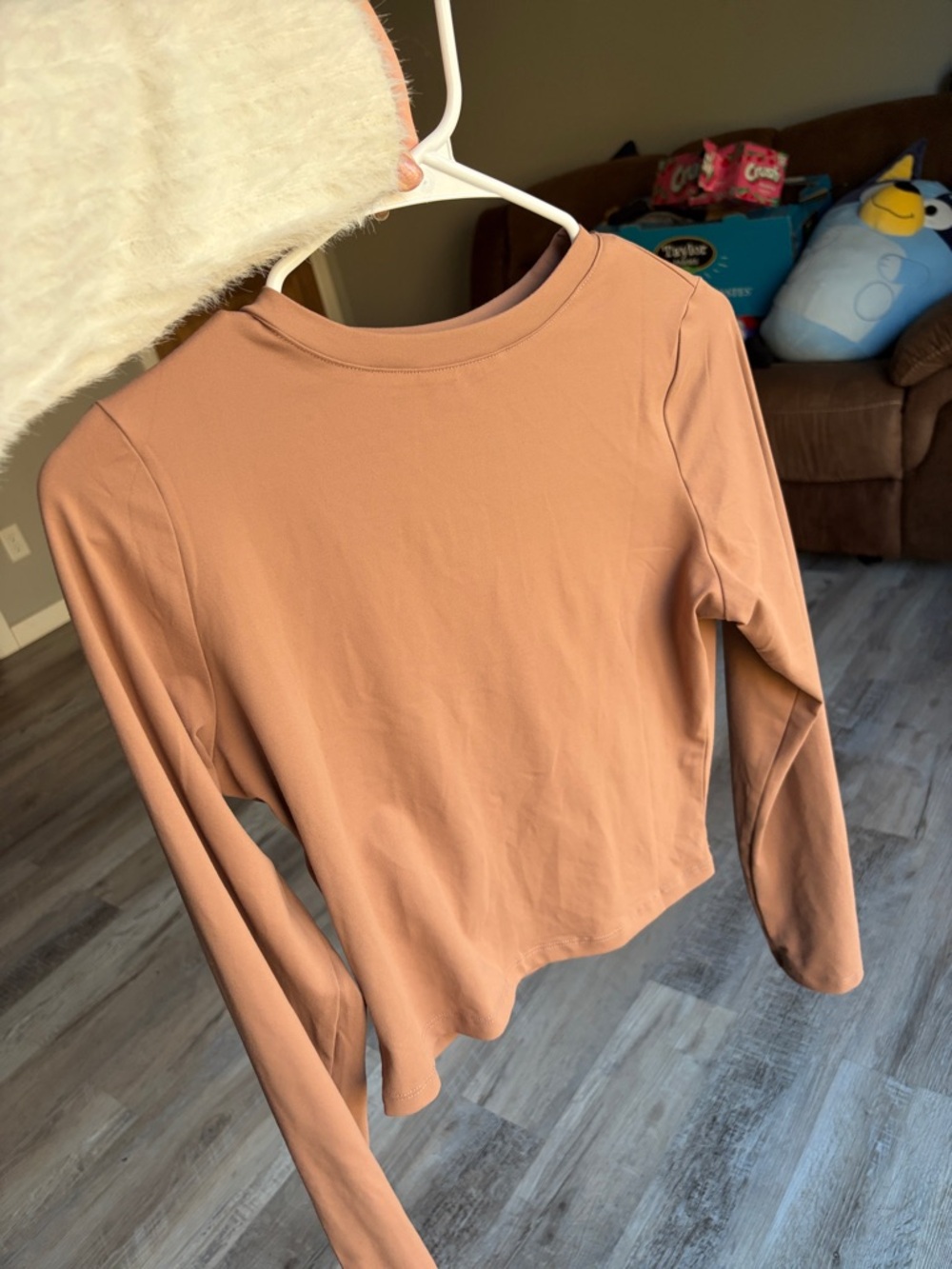 Women's Long Sleeve Crewneck Top in Dusty Clay